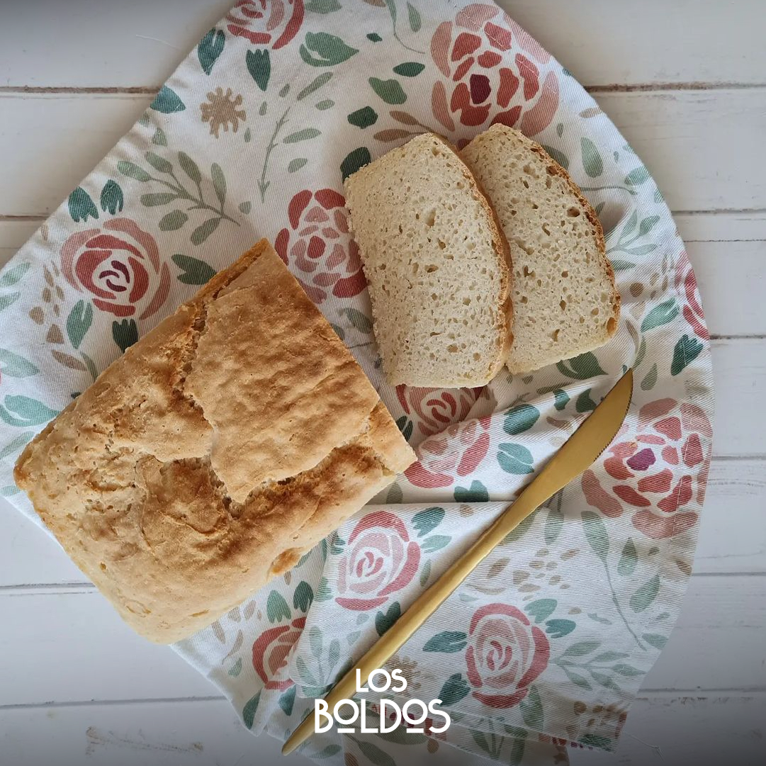Pan Sin Gluten